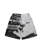 DRIFT TAPESTRY BAGGY SHORTS [v2]