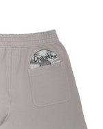 DISC BAGGY SHORTS CARGO [630GSM]