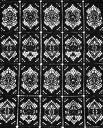 House of Cards Black Lace Shirt